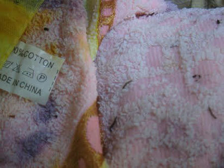 Hoảng loạn tin đồn thực phẩm có đỉa, quần áo chứa ấu trùng