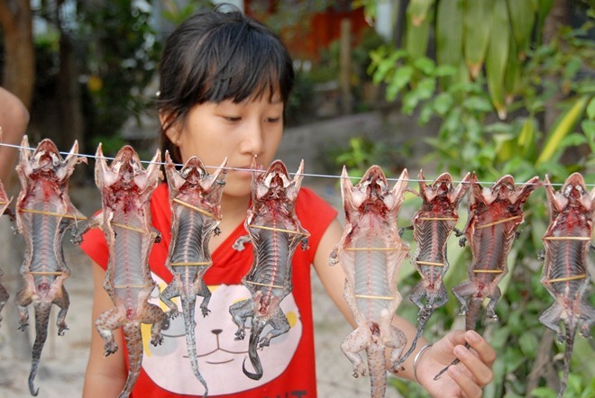 Chợ côn trùng độc nhất Việt Nam