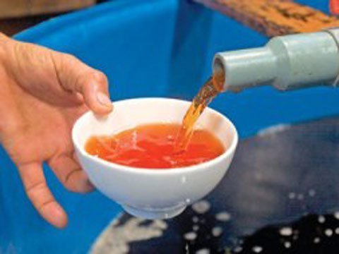 Hà Thành sành ăn, rủ nhau mua nước mắm truyền thống