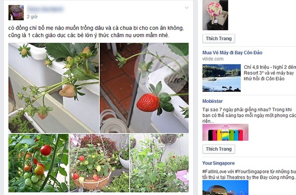 5 trào lưu hot đang “hút hồn” các mẹ nuôi con nhỏ