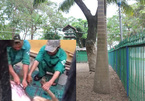 Phẫn nộ cảnh giết nai giữa công viên Đà Nẵng