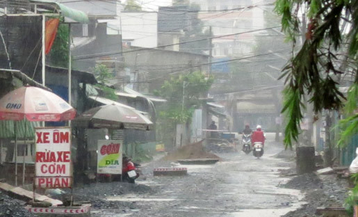 ‘Cơn mưa vàng’ đổ xuống Cần Thơ