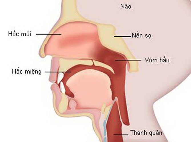 85% ca mắc ung thư đầu – cổ có liên quan đến rượu, thuốc lá