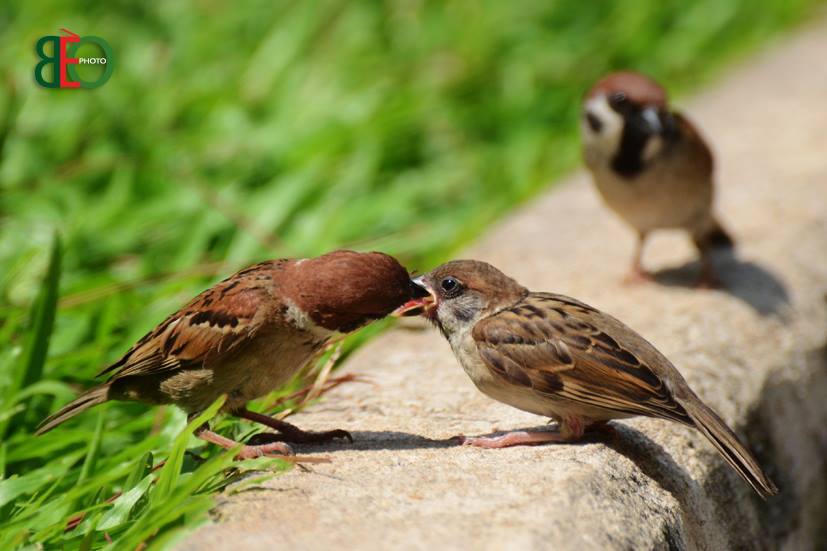 Gửi tình yêu bé nhỏ của chồng chị!