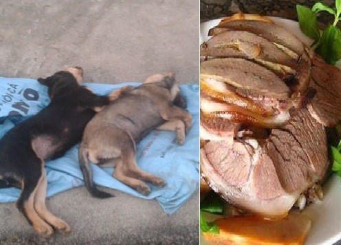 Ăn thịt chó bắt trộm, hiểm họa thuốc cực độc Trung Quốc
