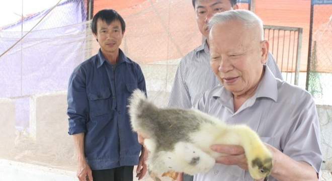 Nguyên Phó Thủ tướng và niềm vui nuôi vịt trời