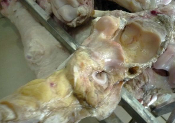 Vó bò thối thành đặc sản nhậu nhức răng