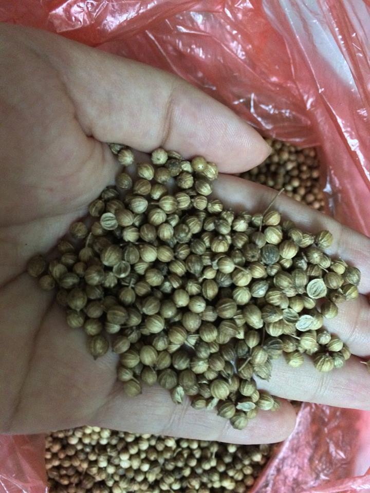Mẹ Việt cuống cuồng tìm cách chống chọi dịch sởi