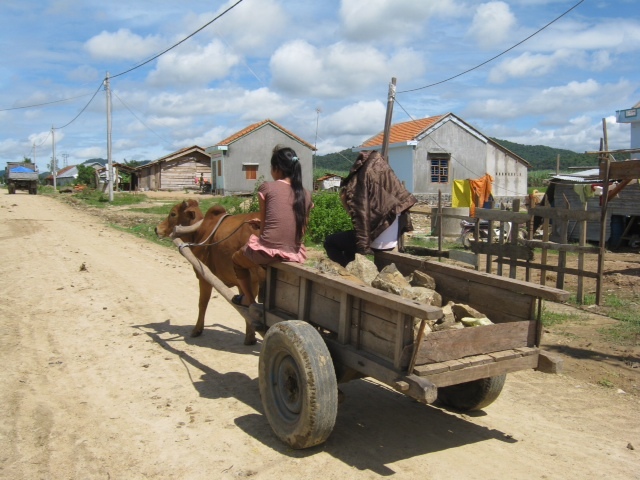 Đứa trẻ thứ hai vụ bé gái 15 tuổi sinh đôi đã tử vong