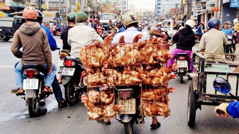 Làm tỷ thứ việc trên xe máy: Tây thán phục dân Việt