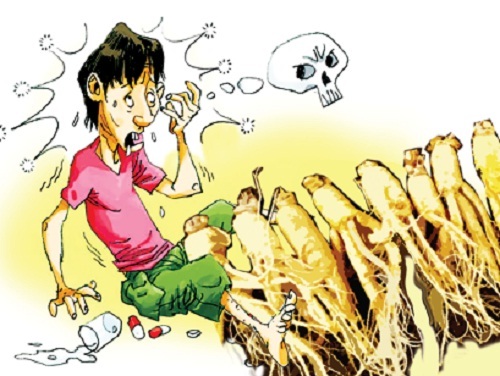 Suýt mất cả vợ và con vì... nhân sâm