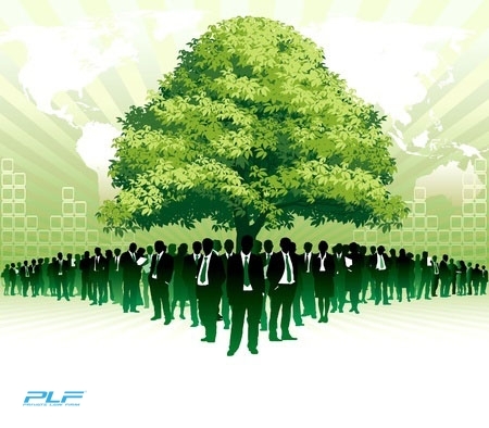 Doanh nghiệp và trách nhiệm bảo vệ môi trường