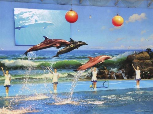 Những điểm đến độc nhất vô nhị ở Triều Tiên