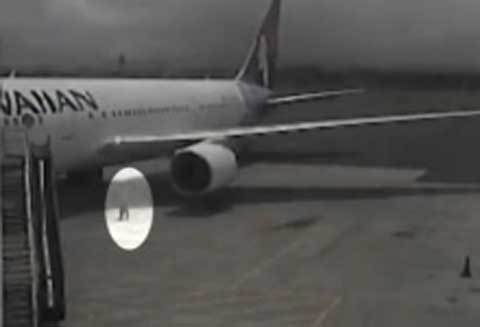 Clip kẻ đi lậu vé trốn trong bánh máy bay