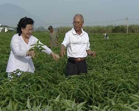 Bà chủ trà Hoàn Ngọc: Làm dược liệu phải bằng tâm