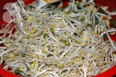 Tự làm giá đỗ sạch chỉ bằng... vỏ hộp sữa cũ!