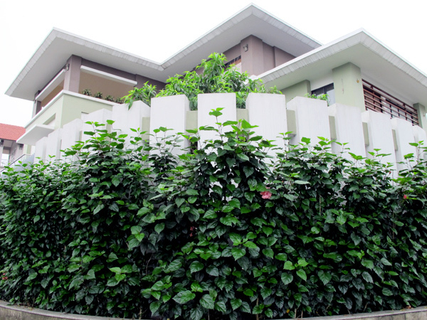 Cung điện view biển, đẳng cấp vô đối đại gia Hạ Long