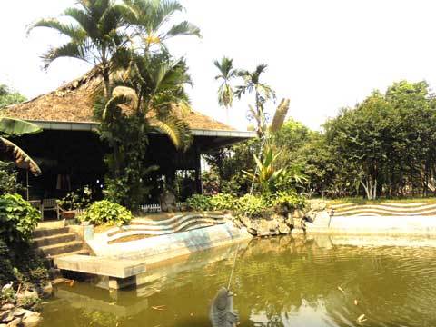 Đại gia ngược núi dời cả bản nhà sàn về Hà Nội