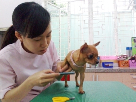 Những nghề 'độc' thu nhập 'ngất ngưởng' chỉ có tại Việt Nam