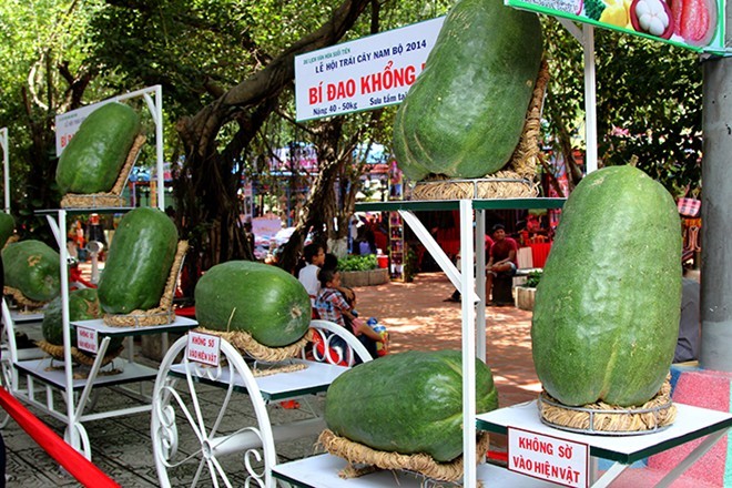 Củ quả độc lạ gặp nhau tại lễ hội trái cây Sài Gòn