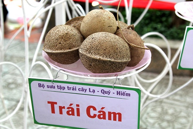 Củ quả độc lạ gặp nhau tại lễ hội trái cây Sài Gòn