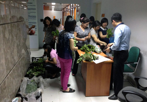 Thời ê hề rau sạch, chở ôtô bán tận công sở