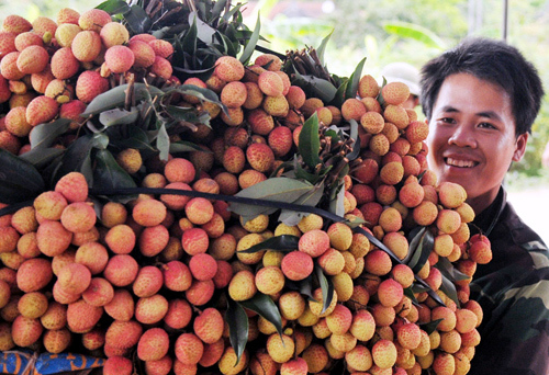 Vải 8.000, mận 10.000 đồng: Ế ngập chợ, tràn vỉa hè