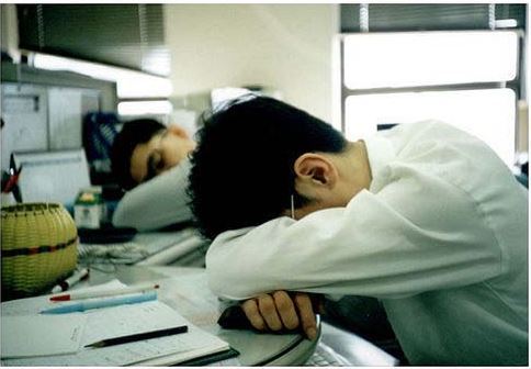 Chỗ nghỉ trưa đẹp như mơ của những công sở hàng đầu thế giới