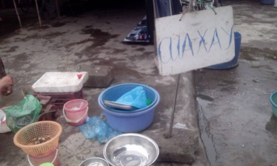 Phát hoảng vì cua đồng chứa vắt?