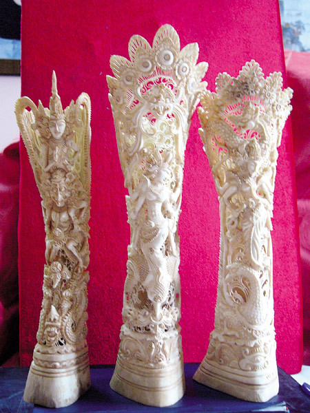 Đại gia trấn giữ uy quyền bằng răng nanh voi đực