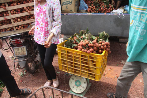 Vải rẻ thối vẫn bị ép giá, cân điêu
