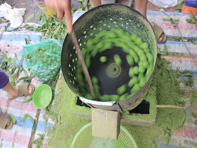 Hà Nội: Chà vỏ sấu, kiểm tiền triệu mỗi ngày