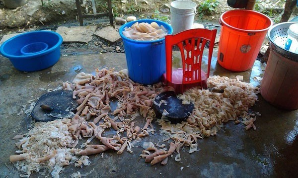 Rợn người 'công nghệ' chế nem chua Thanh Hóa