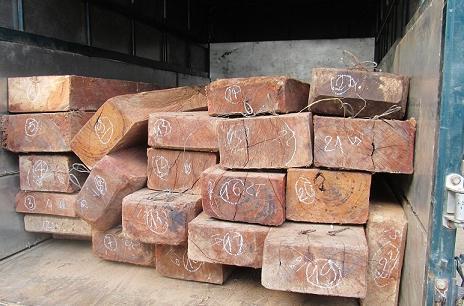 Bắt xe tải chở 23 hộp gỗ Gõ không rõ nguồn gốc