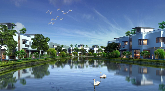 Nhìn thị trường từ những cú giá sốc