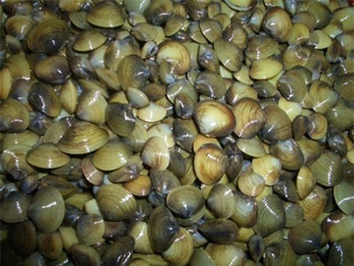 Hiểm họa tiềm ẩn trong canh hến mùa hè