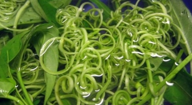 Rau muống sống: Cực độc mà tưởng an toàn
