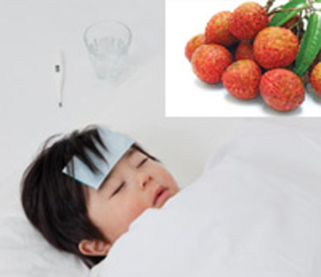 Thực hư trẻ ăn vải bị viêm não Nhật Bản