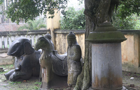 'Lạnh người' vào vùng voi - ngựa 'hóa' đá khổng lồ