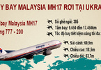 Infographic: Máy bay Malaysia rơi tại Ukraina, 298 người chết