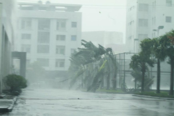 Thần Sấm đổ bộ, Quảng Ninh mất điện diện rộng