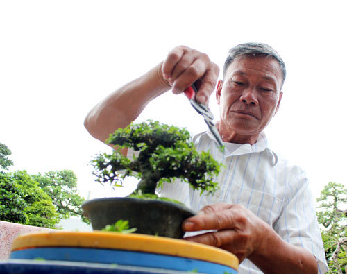 Sài Gòn: Những sân thượng hái ra... tiền tỷ