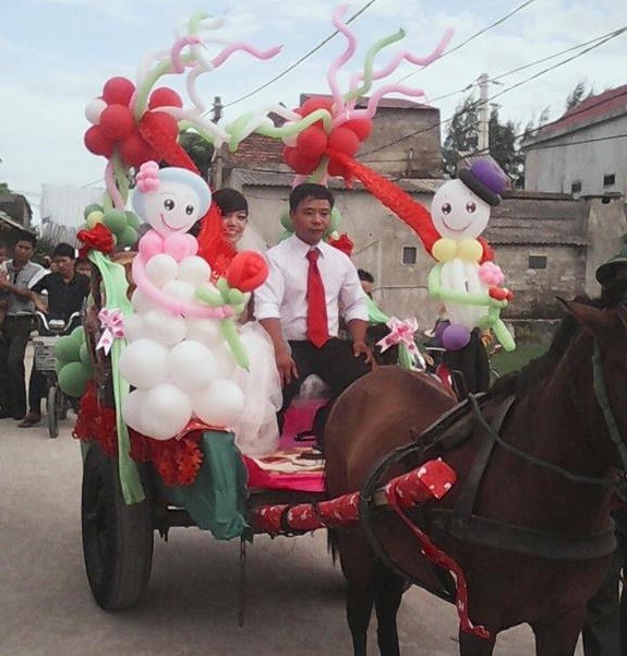 Rước dâu bình dị bằng xe ngựa xôn xao dân mạng