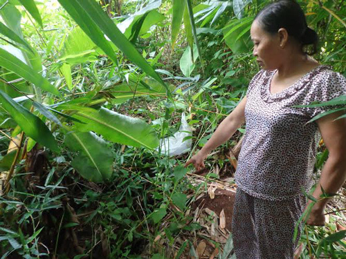 Gia cảnh khốn khó của người mẹ vứt con vì…đẻ quá nhiều