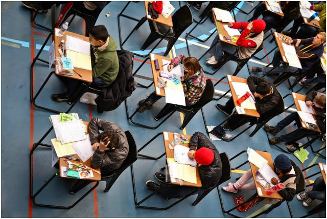 Thi học sinh giỏi ở Mỹ và luyện 'gà chọi' ở... VN