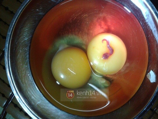 Phát hiện sinh vật lạ trong lòng đỏ trứng gà