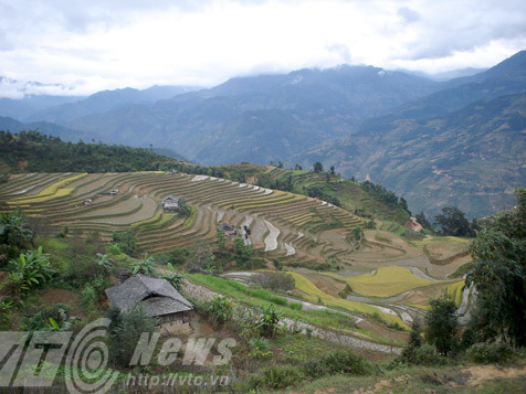 Giải mã sự thật về ông vua thống lĩnh nóc nhà Đông Bắc