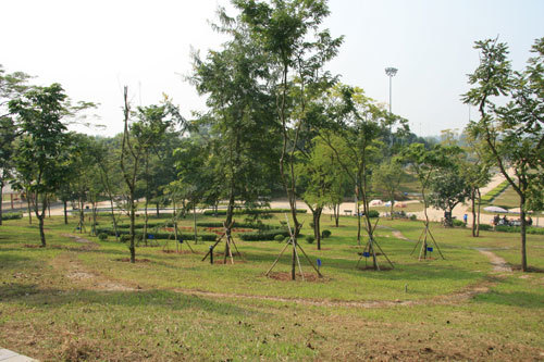 Ai cần 
