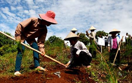 4 vạn cây xanh phủ bóng chiến trường Điện Biên xưa