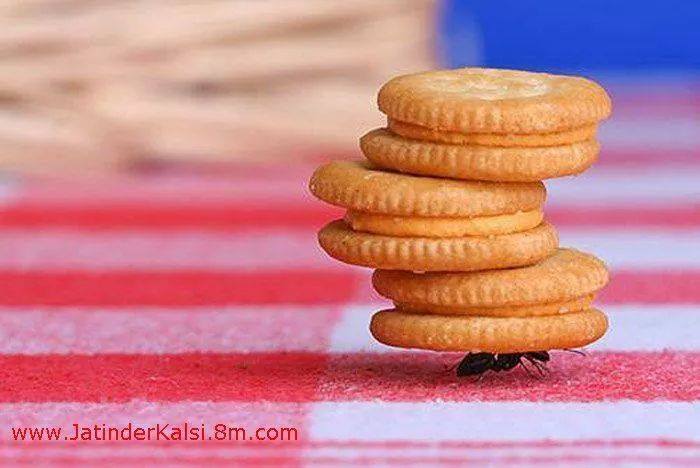 Trách nhiệm với gia đình chồng?
